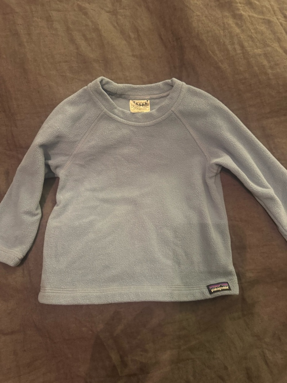 Patagonia Kids Sky Blue Fleece Crewneck Pullover